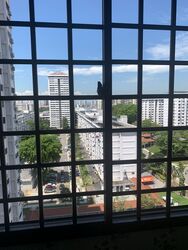 Blk 414 Garden Hill (Bedok), HDB 5 Rooms #563190821